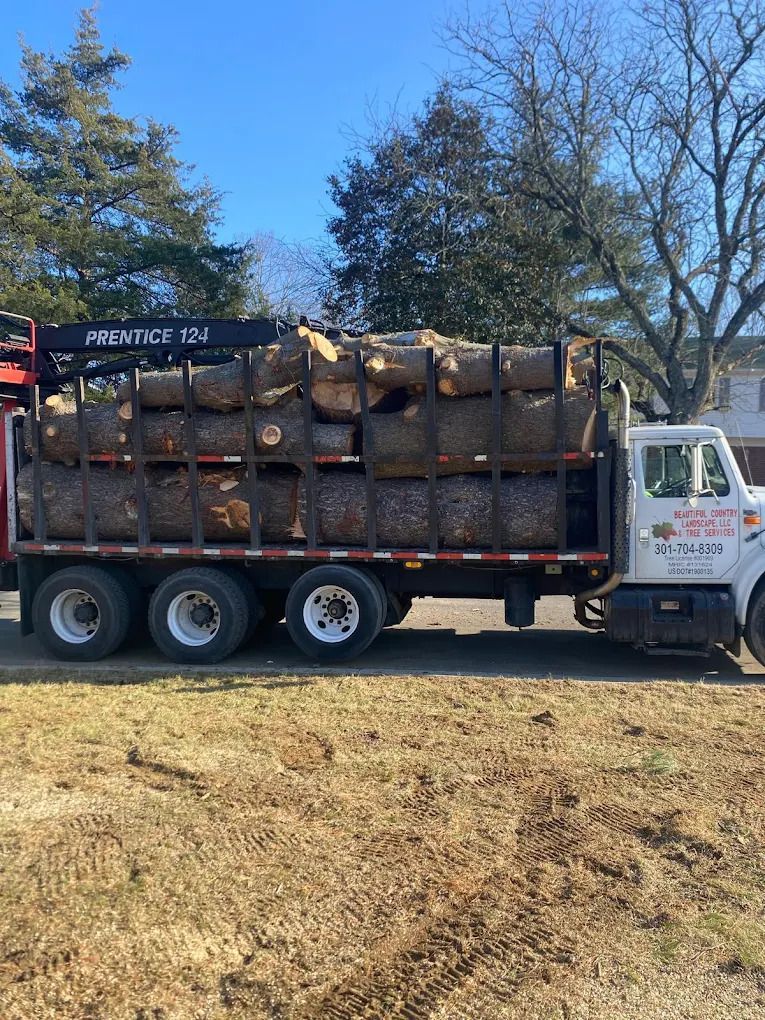 Red dump truck loaded with bundled debris beside trees in a grassy yard