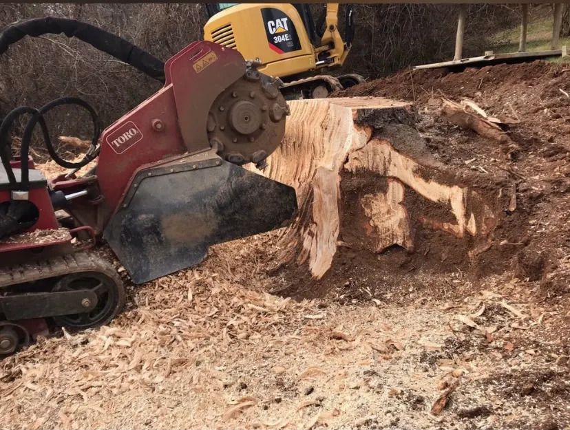 Red excavator cutting into a large tree stump on a dirt worksite.