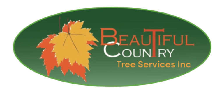 Beautiful Country Landscape LLC Beautiful Country Tree Services Inc logo with green oval, orange leaves, and brown text