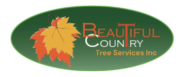 Beautiful Country Tree Services Inc logo with green oval, autumn leaves, and tree silhouette