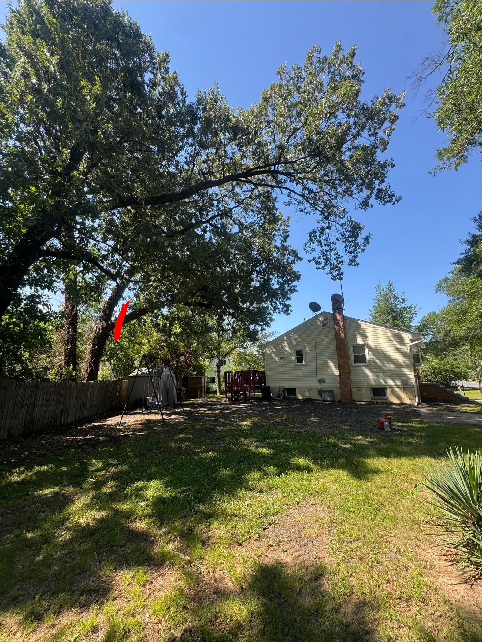 Backyard with large tree, stone wall, and small white house under a blue sky
