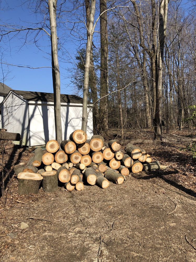 Stacked cut logs in a wooded yard beside a white shed on a sunny day