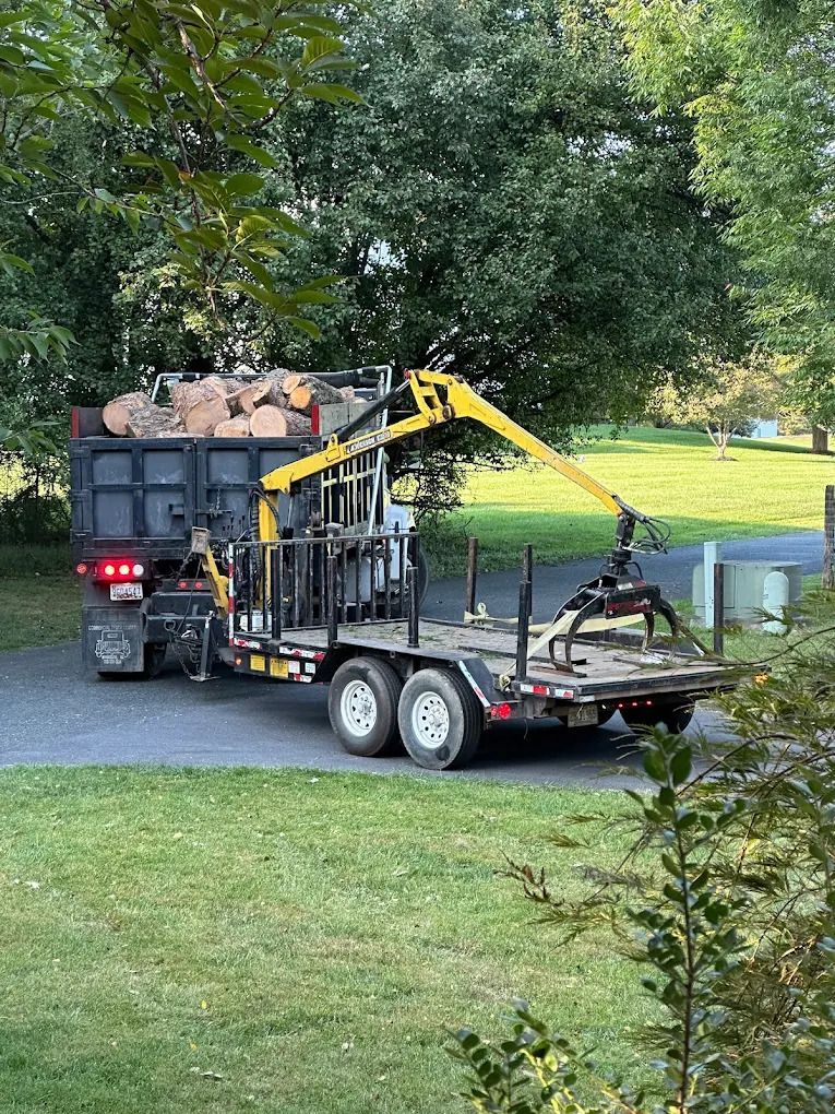 Truck with tree-removal equipment parked on a driveway beside a grassy lawn and trees.