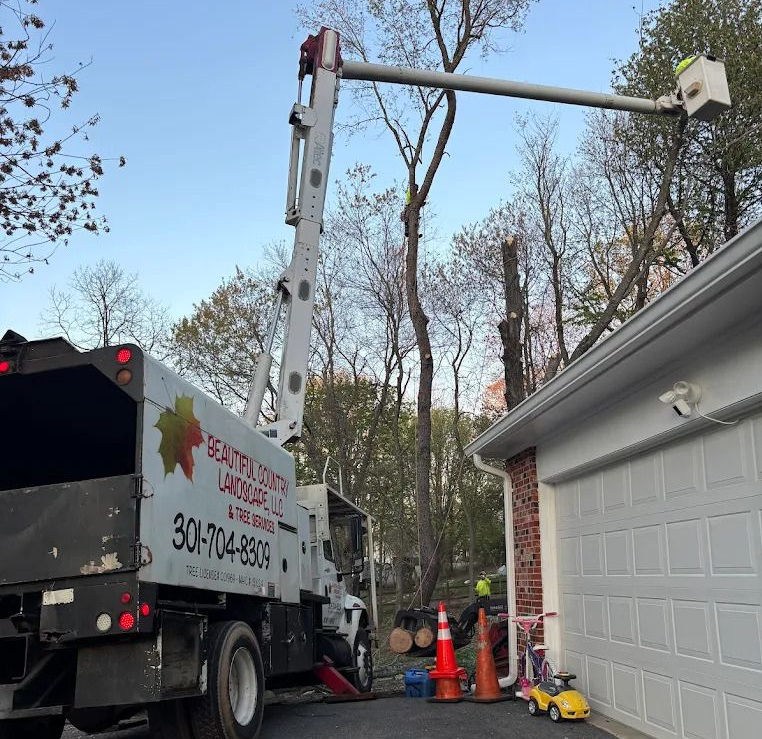 Trees — Man Cutting a Tree Stump in Gaithersburg, MD Tree service truck using a bucket lift near a house garage, with cones and a worker on the boom.