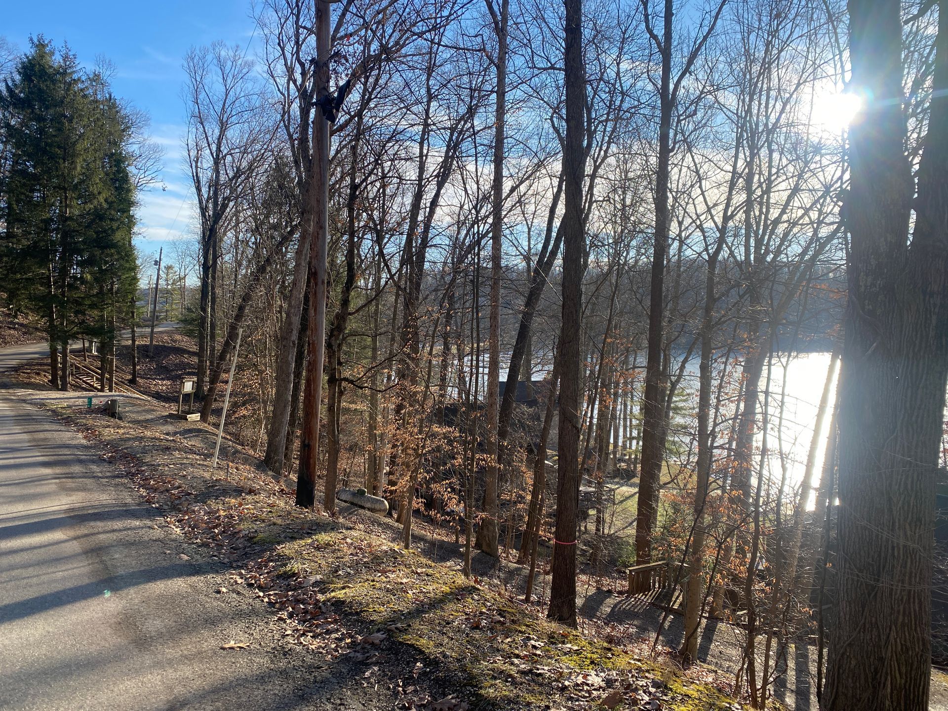 Trees line a road overlooking a bright, sunlit lake.