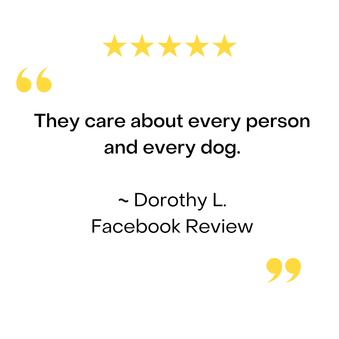 A 5-star review from Dorothy L. on Facebook: