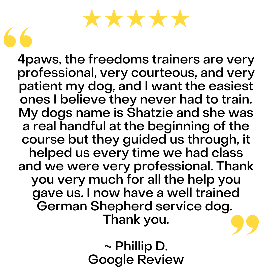 A five-star Google review from Phillip D. praising the professional dog training services provided by 4paws.