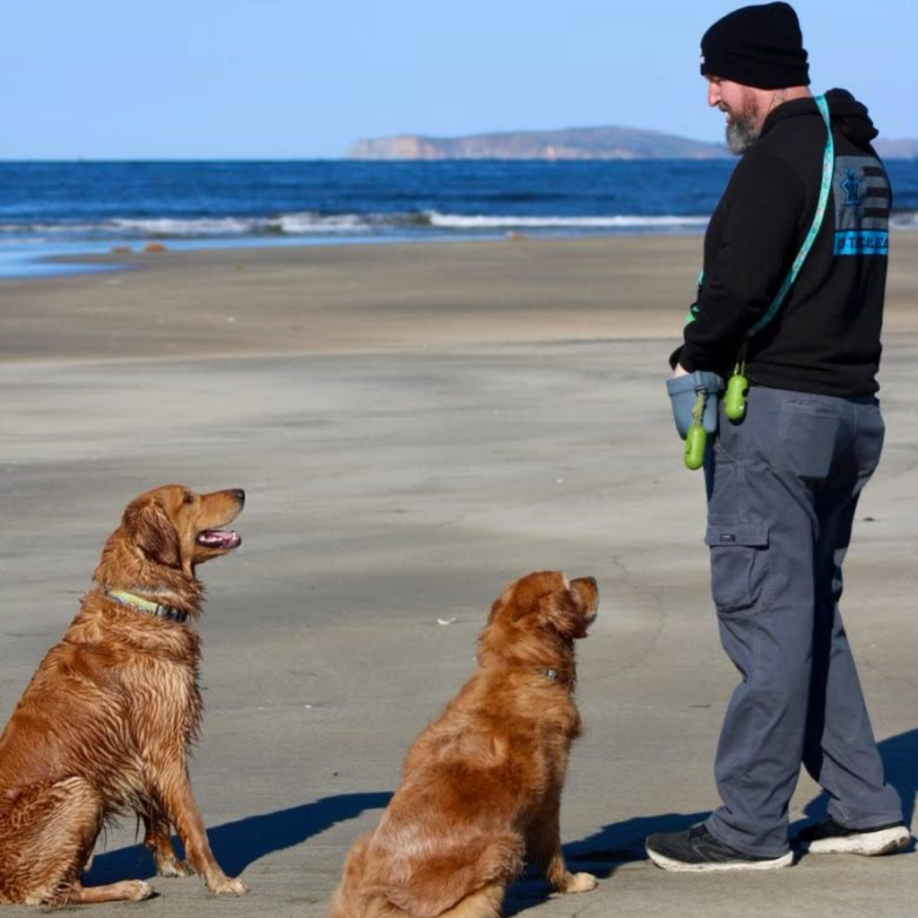 Man standing on a beach facing two sitting golden retrievers, with ocean waves in the background