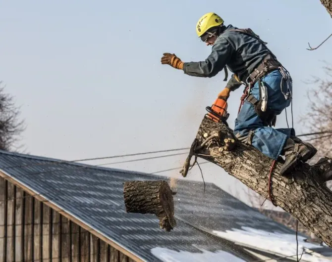 Arborist in safety gear cutting a tree branch with a chainsaw.