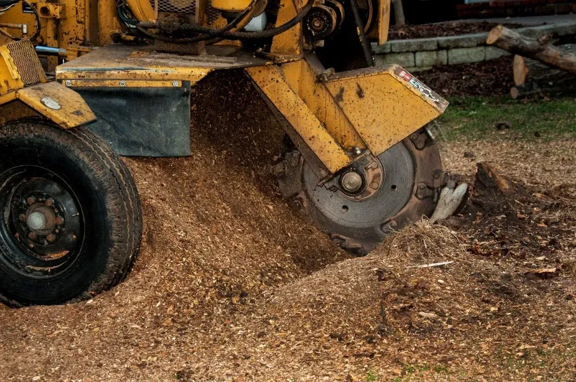Yellow stump grinder machine removing a tree stump.