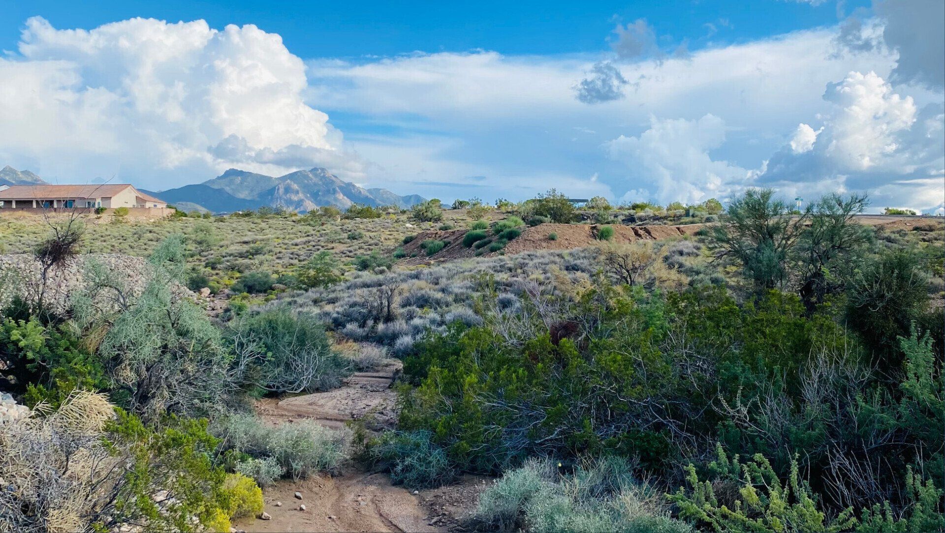 A dirt road going through a desert landscape with mountains in the background.