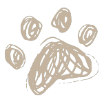 Tan paw print with four toe pads on a white background