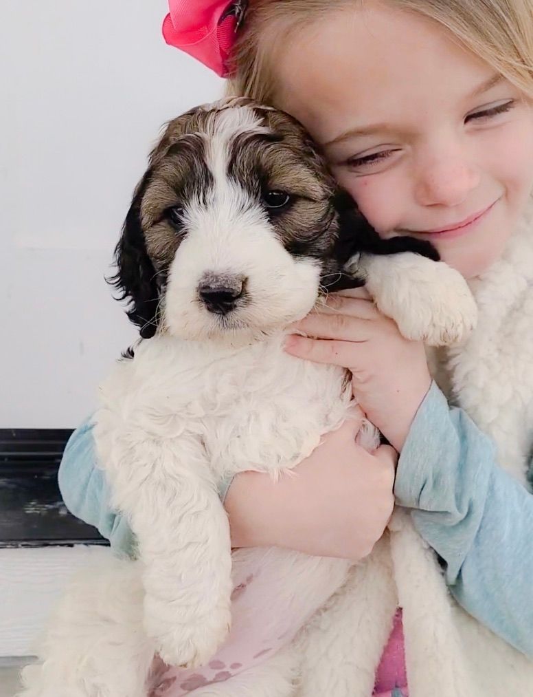 Girl hugging a fluffy black-and-white puppy, both close together and smiling