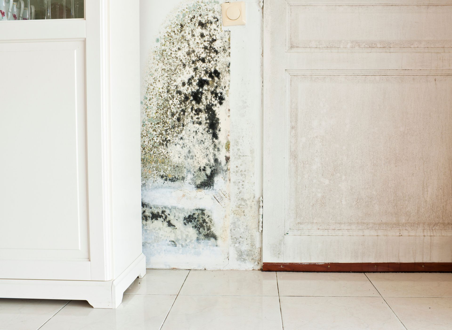 Mold Growth on Wall – Hampshire, IL – 312 Restoration