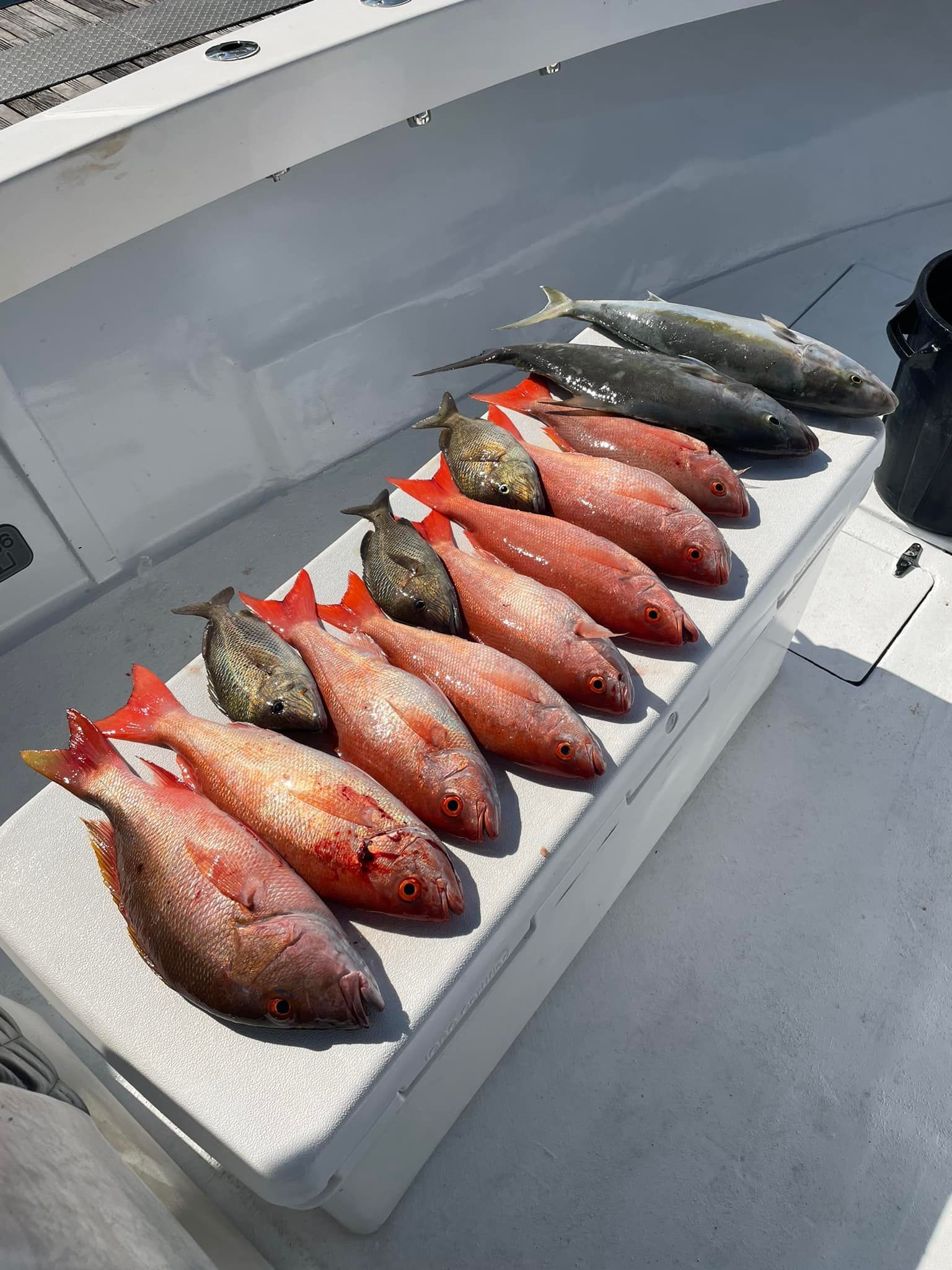 Several fish laid on a white tray on a boat deck, with red and dark gray fish arranged in rows.