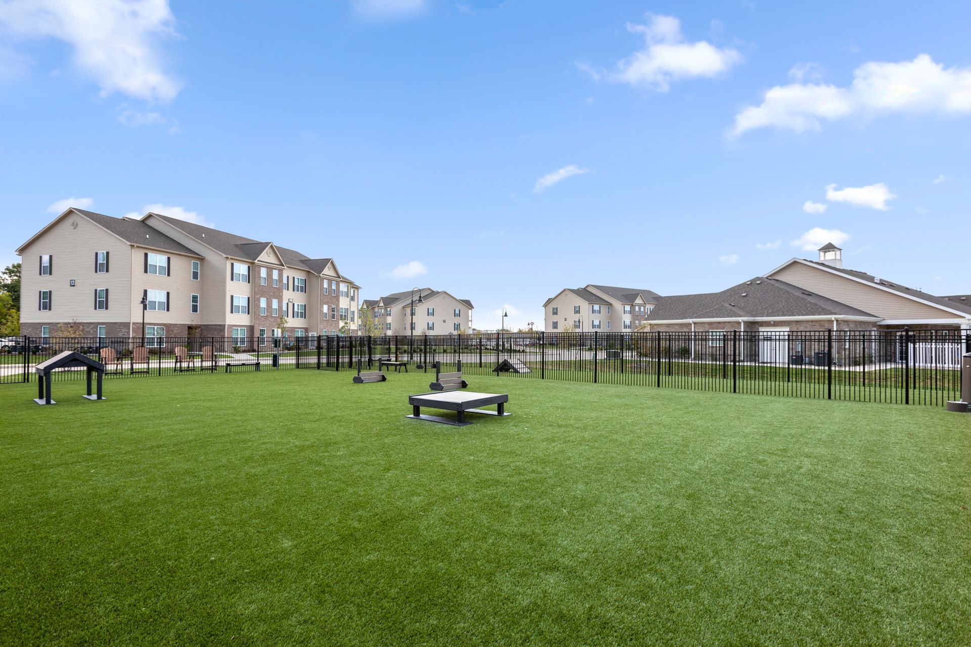 photo of dog park
