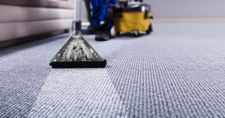 How Long Does a Carpet Take to Dry After Cleaning?