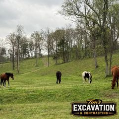 Four horses grazing on a green hillside with sparse trees under an overcast sky.