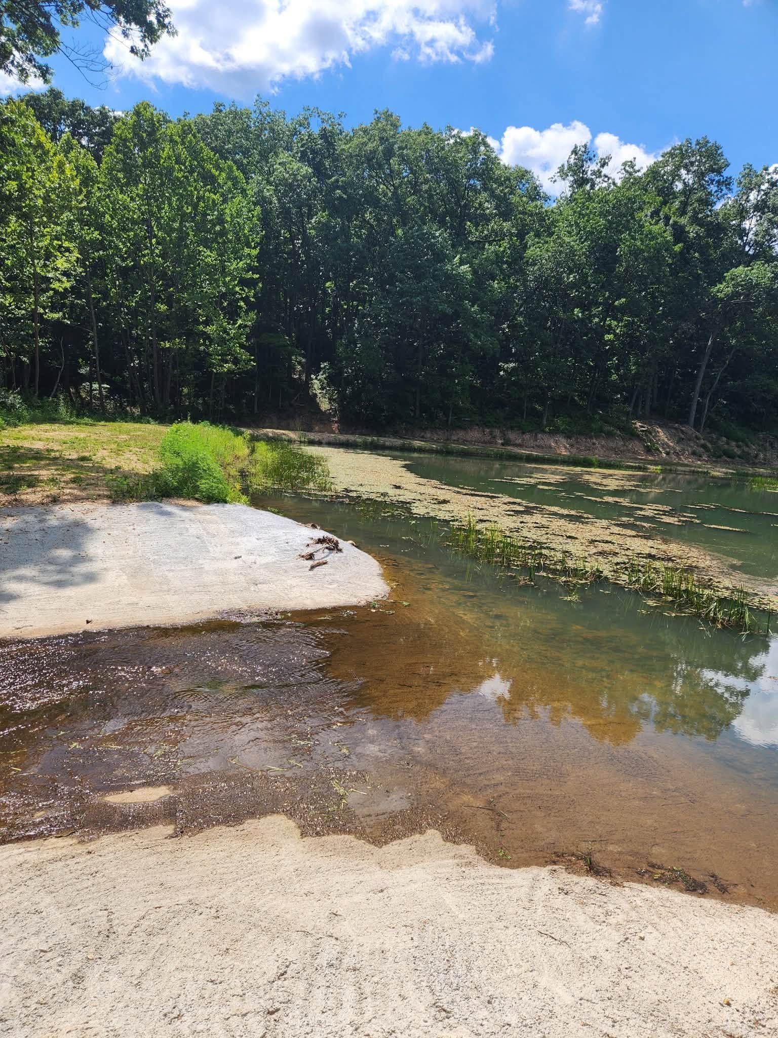 Shallow stream beside a sandy bank and dense green trees under a bright blue sky
