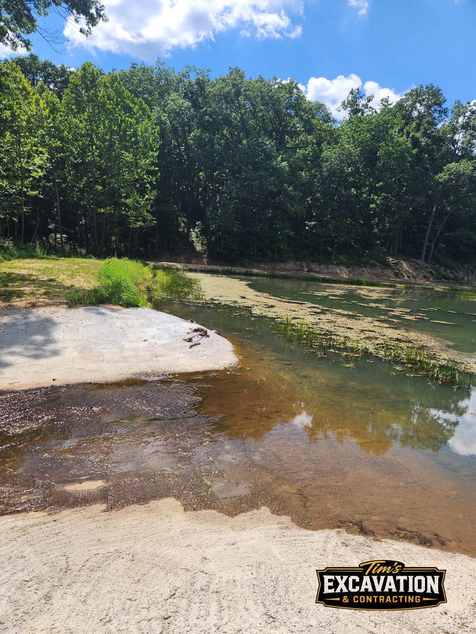 Shallow muddy creek beside dense green trees under a bright blue sky