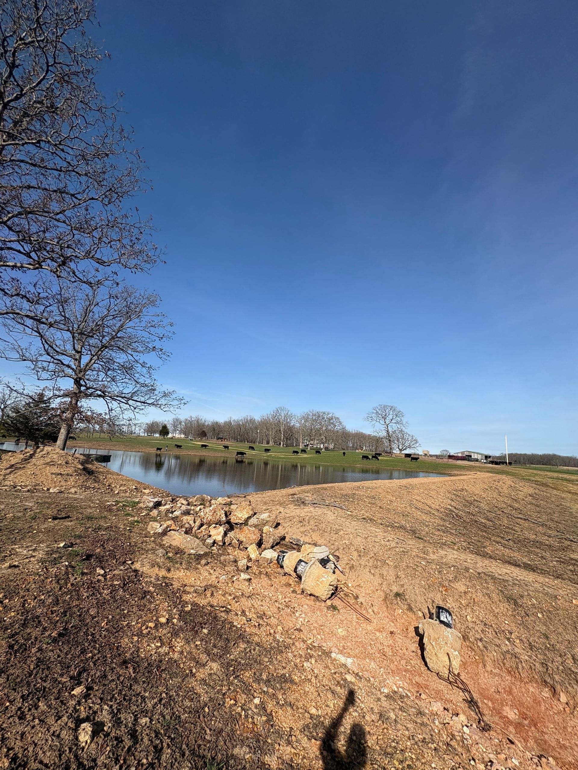 Rocky creek bank with calm water, leafless trees, and a clear blue sky