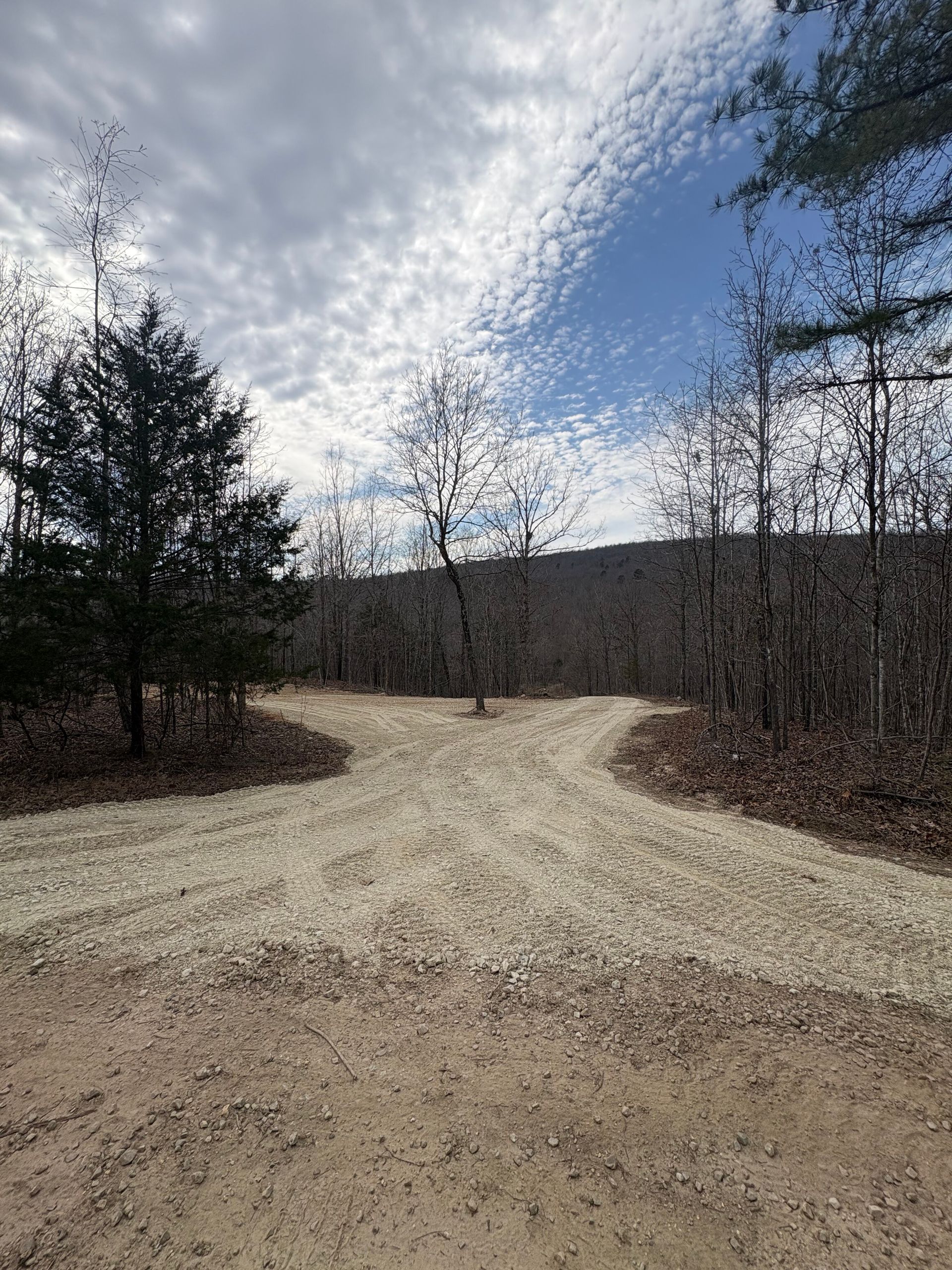 Curving gravel path through leafless woods under a partly cloudy sky