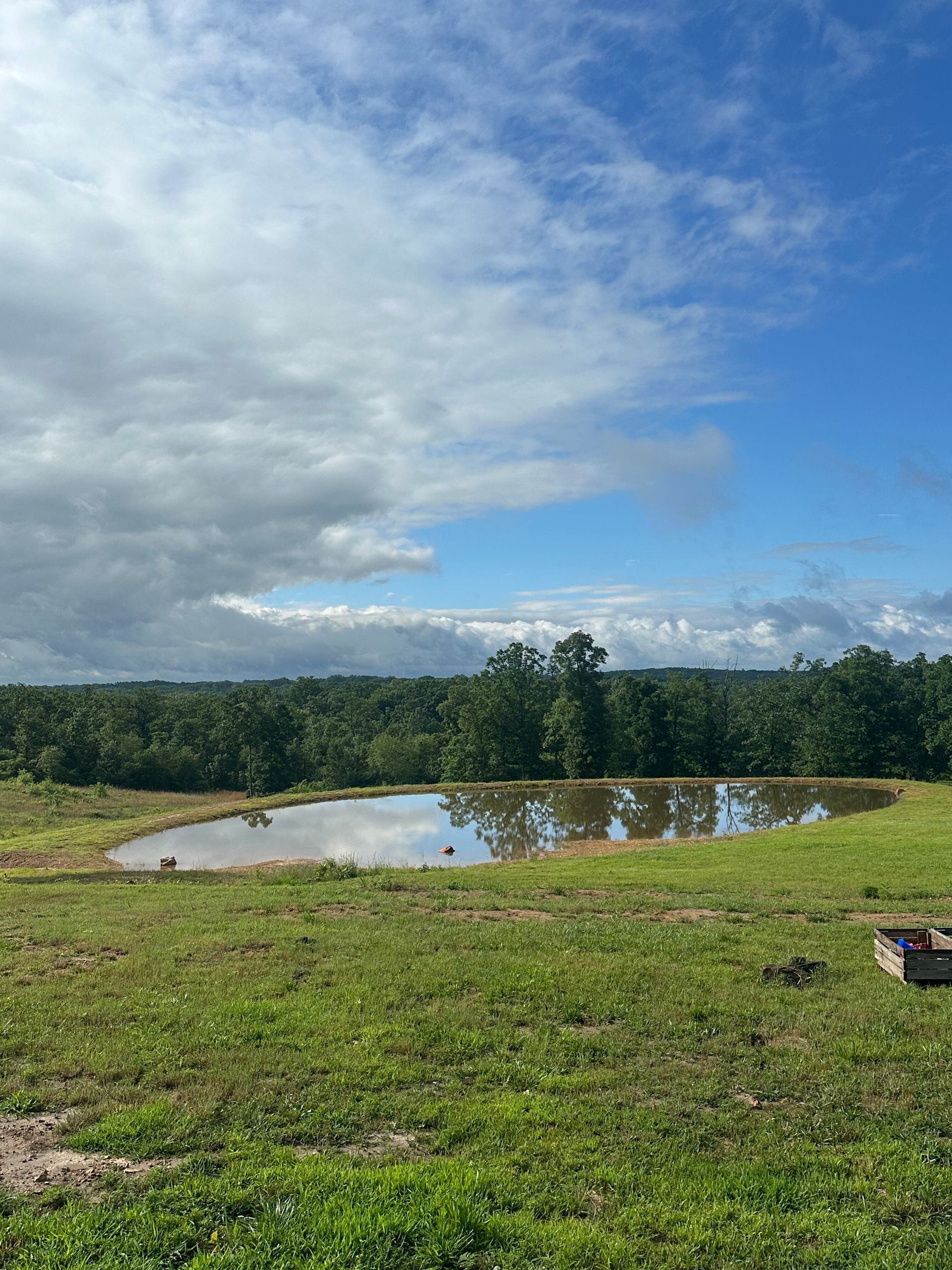 Grassy field with a small pond, tree line, and blue sky with clouds