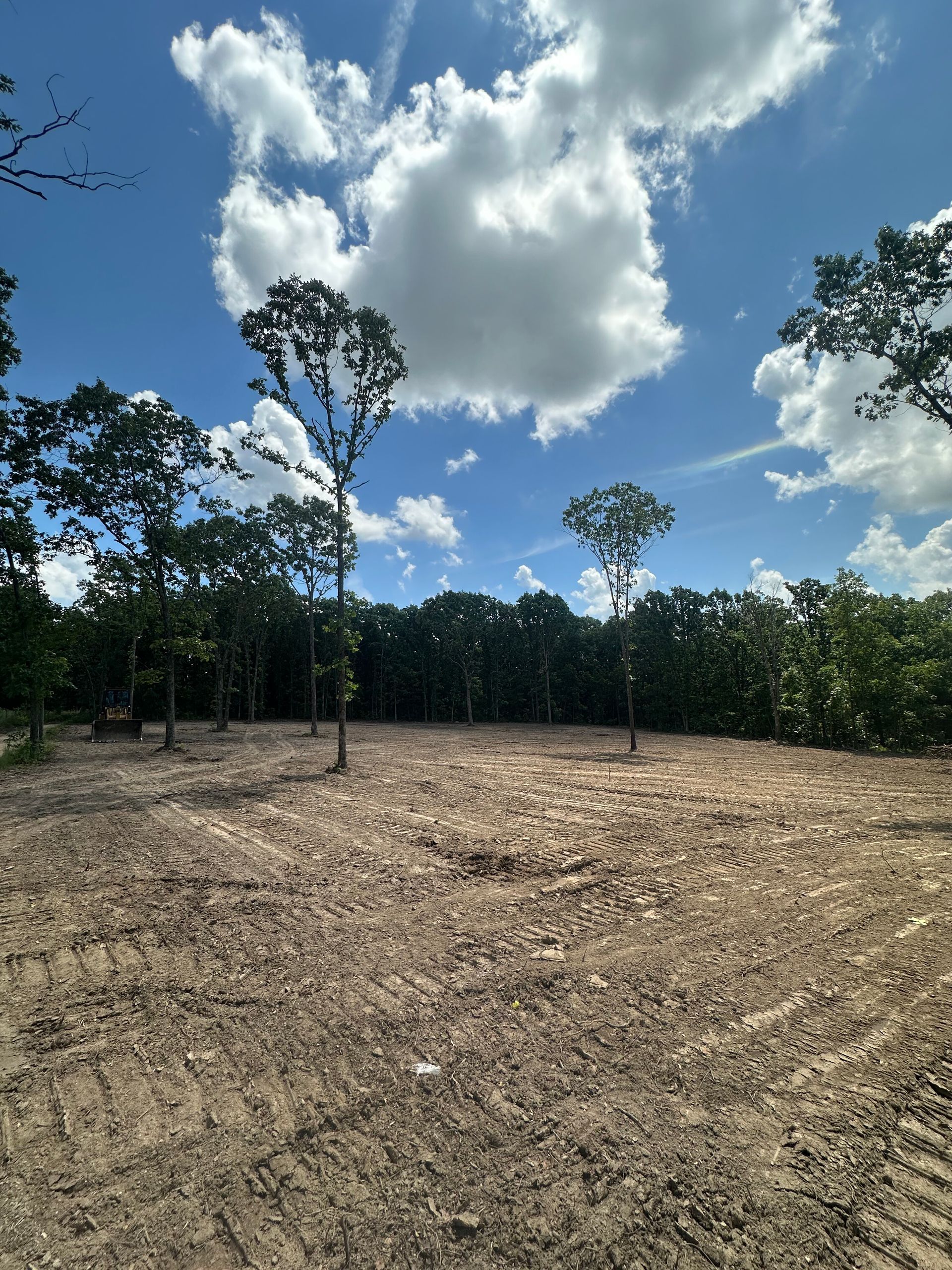 Cleared dirt field with scattered young trees under a bright blue sky and white clouds