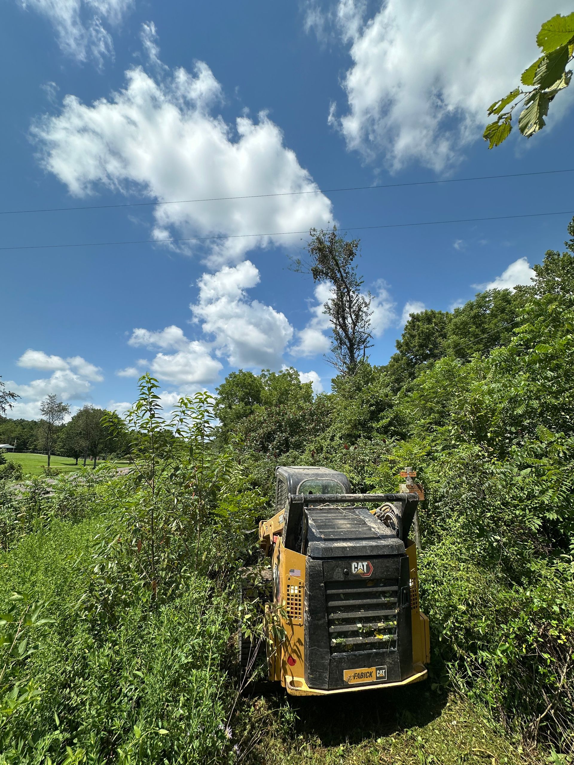 Yellow tractor in tall green vegetation under a bright blue sky with clouds