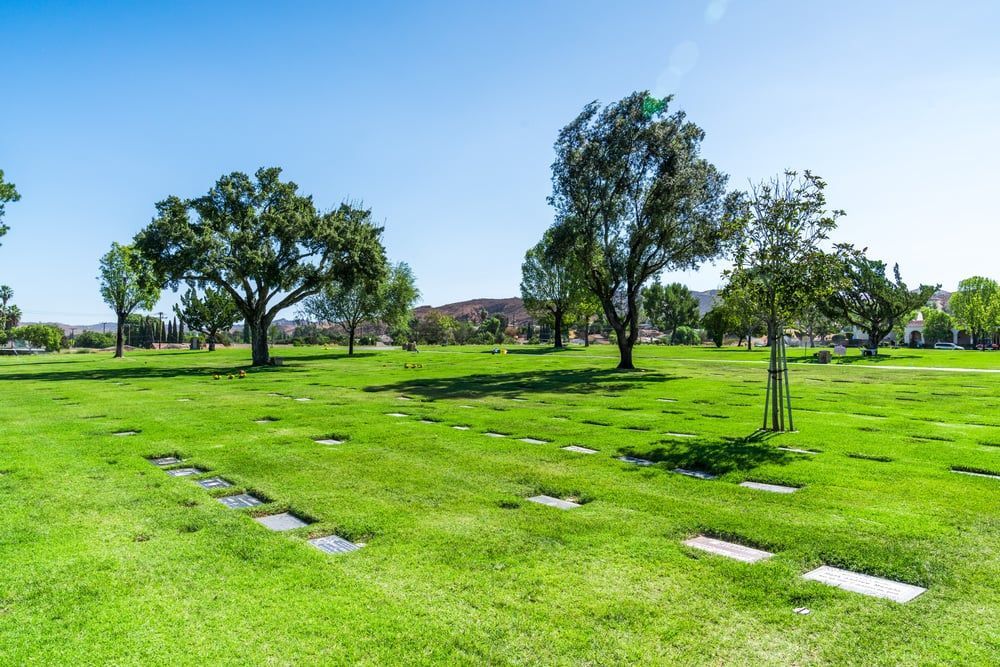 Sunny green park with scattered trees and stepping stones across a grassy field
