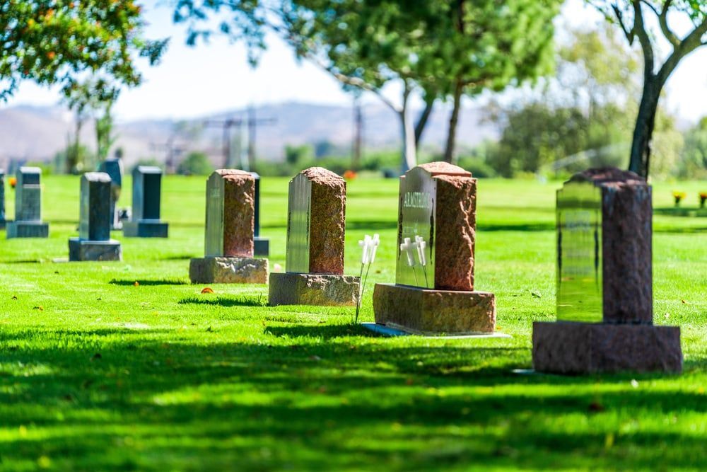 Row of gravestones in a sunny green cemetery with trees and distant hills