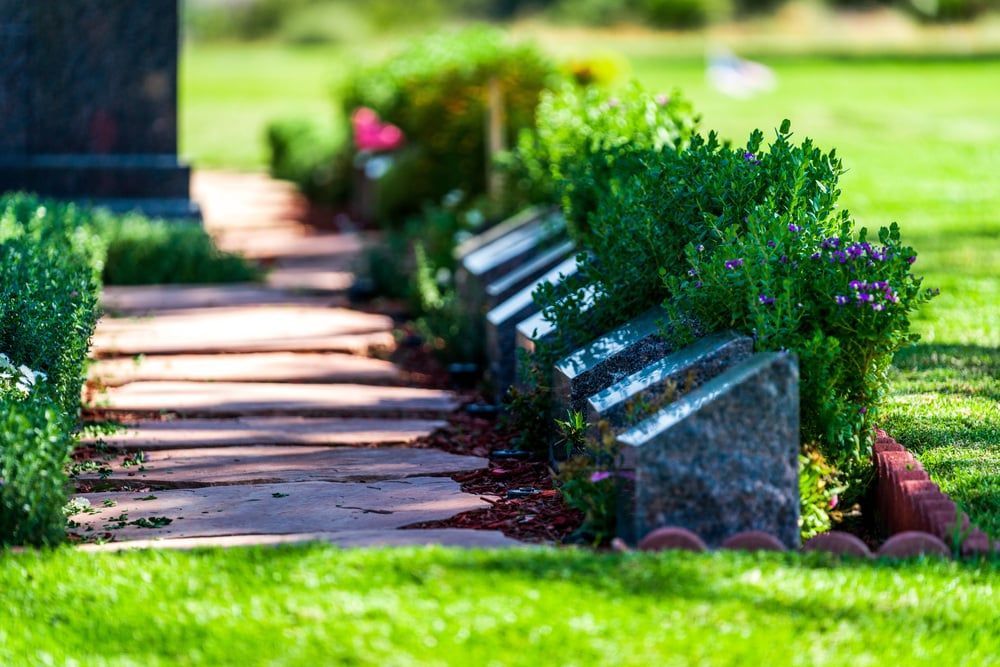 Sunlit garden path lined with green hedges and stone edging, with bright grass in the foreground