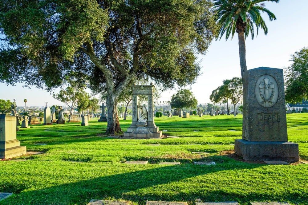 Sunny cemetery with green grass, palm trees, and several ornate gravestones.