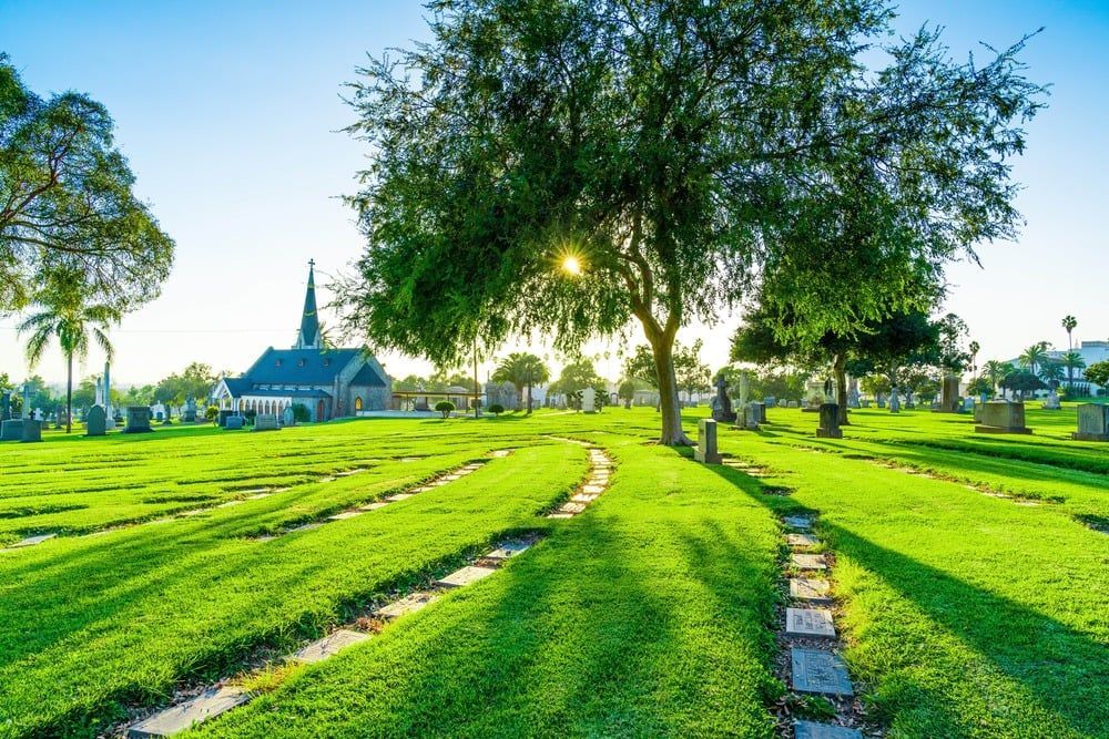 Sunlit park with green lawns, winding path, and trees near a small building