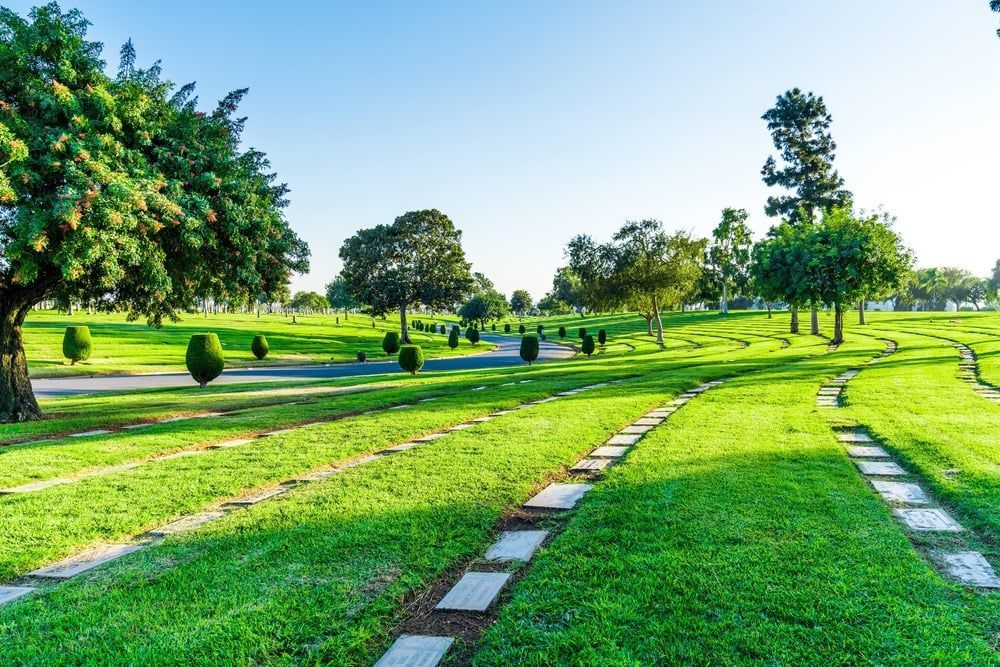 Sunlit green park with trees, lawns, and stone stepping paths under a clear blue sky