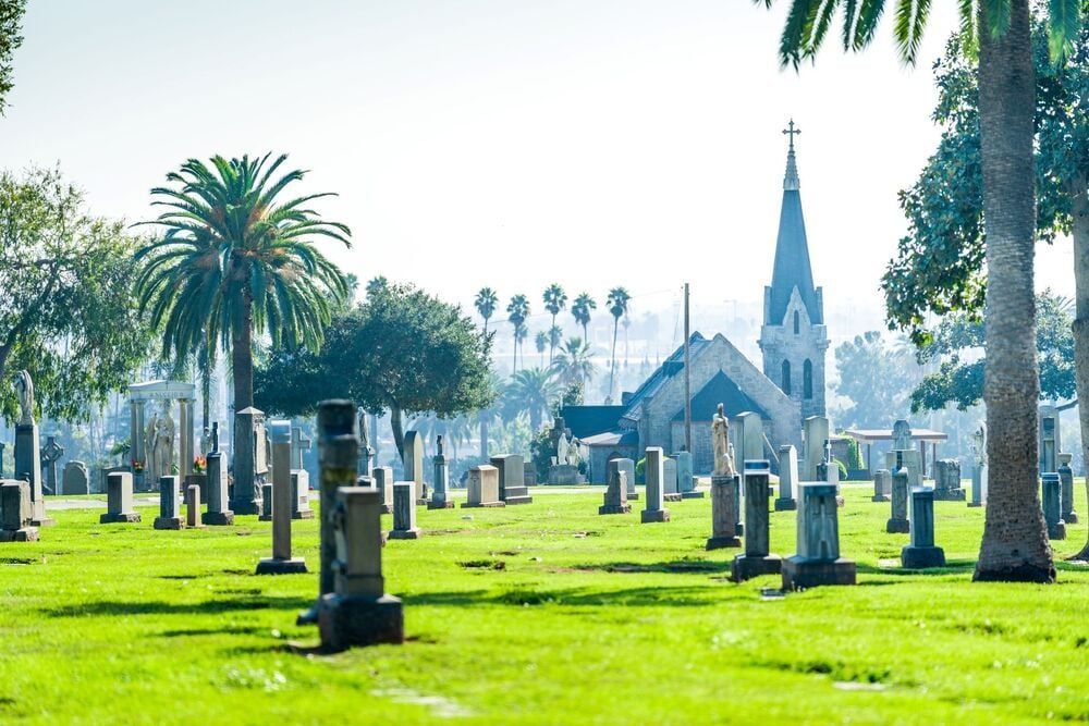 Sunny cemetery with palm trees and a church steeple in the background