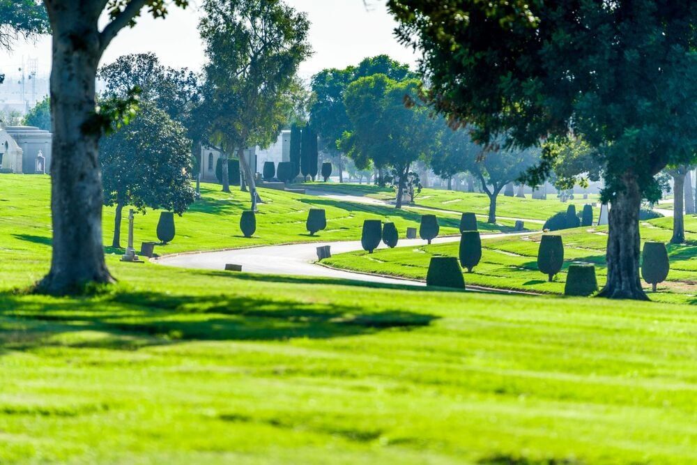Sunny cemetery with green grass, trees, and rows of headstones along a winding path