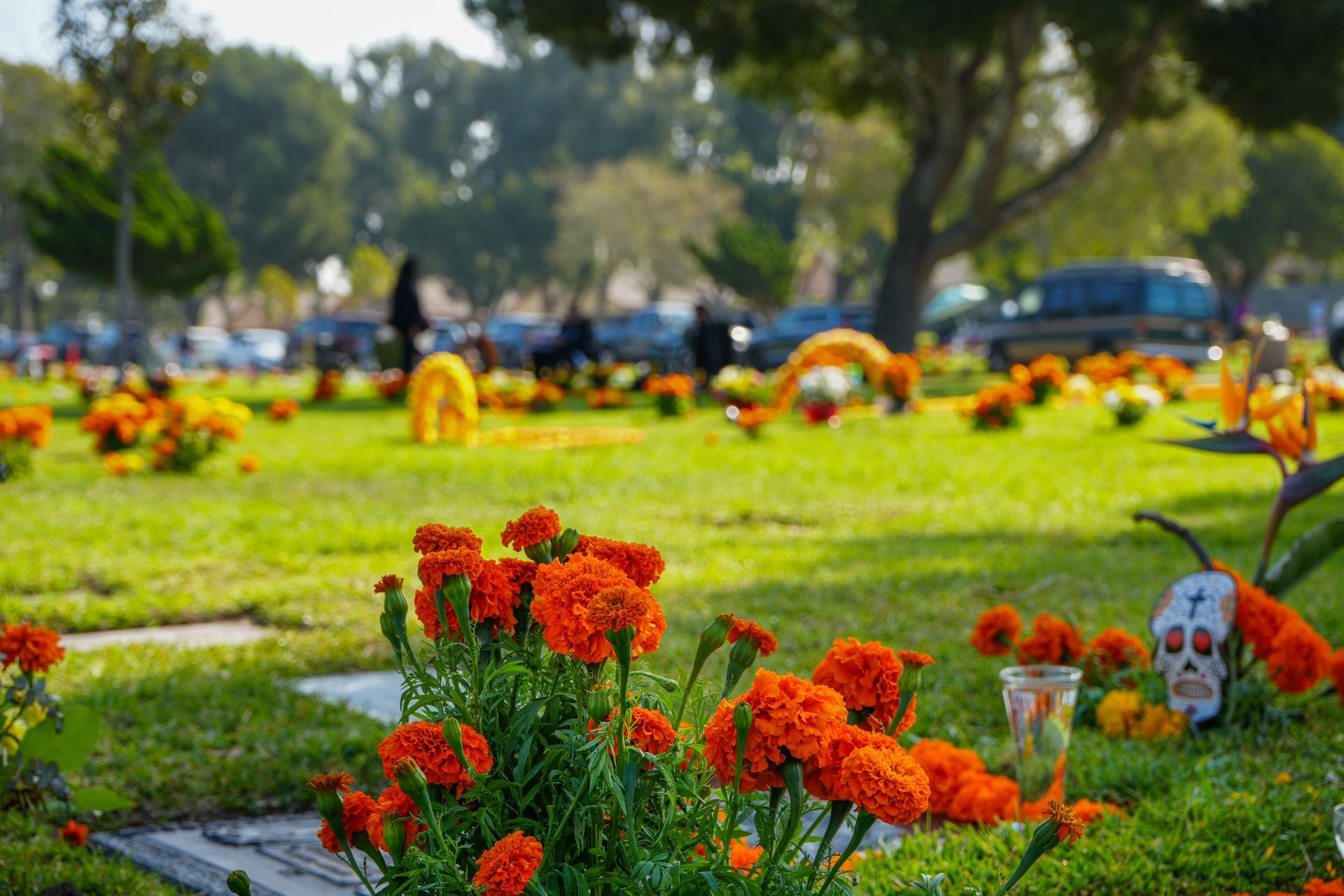 Marigolds decorate the graves in a cemetery in honor of Dia de los Muertos