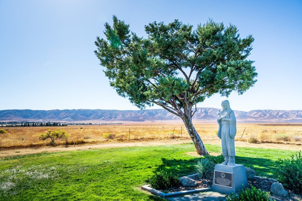 A statue beside a green tree in a sunny field overlooking a wide valley
