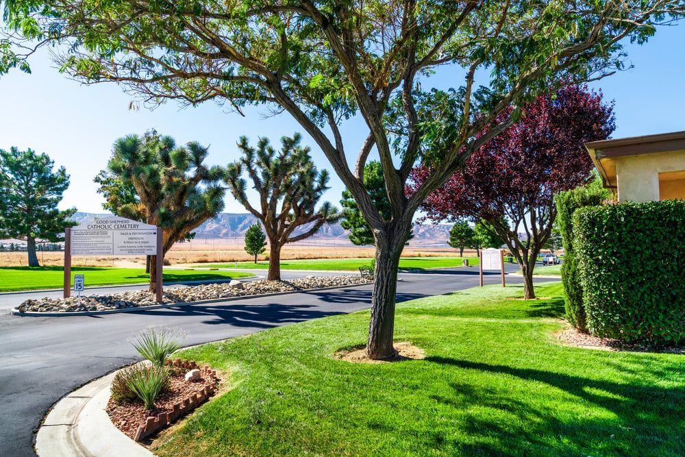 Sunny landscaped entrance with trees, green lawn, paved drive, and a building at right