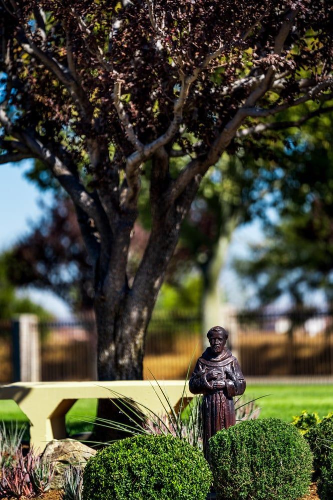 Bronze statue beside trimmed shrubs under a large tree in a sunlit park