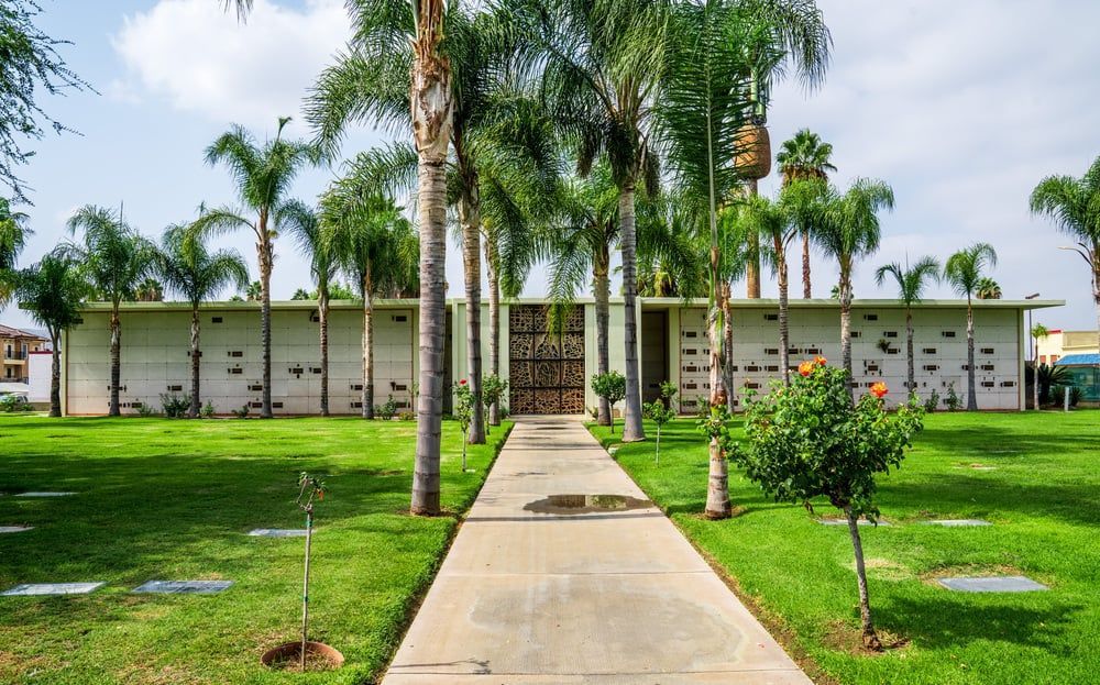 Palm-lined walkway leading to a white building with green shutters on a sunny day.