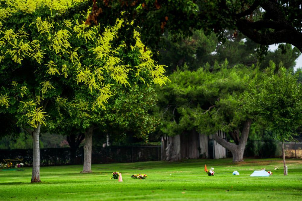 Park with green trees and grass, with several dogs lying on the lawn.