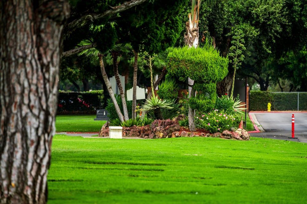 Lush green park with trimmed trees, a stone planter, and a road with orange traffic cones