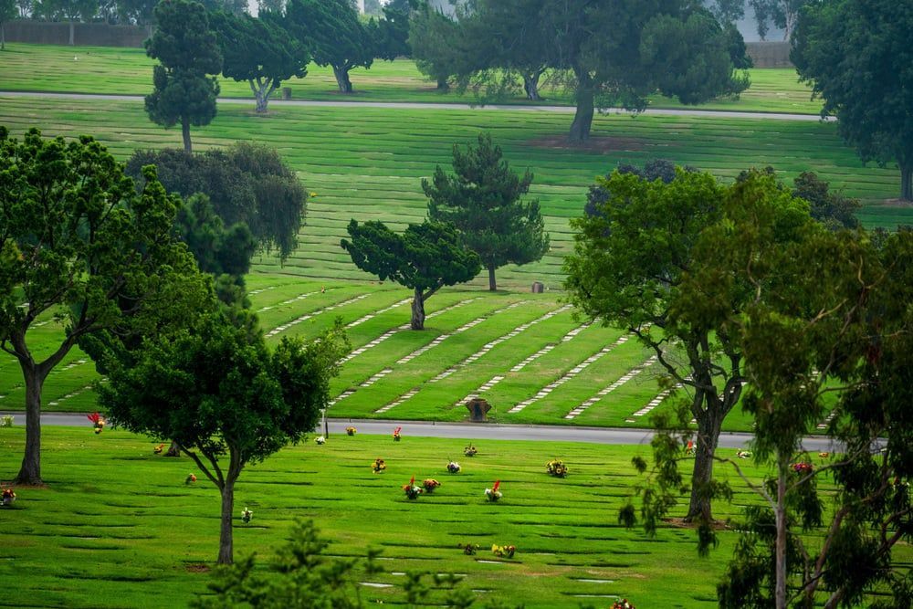 Green cemetery with rows of white grave markers and trees in a lush landscape