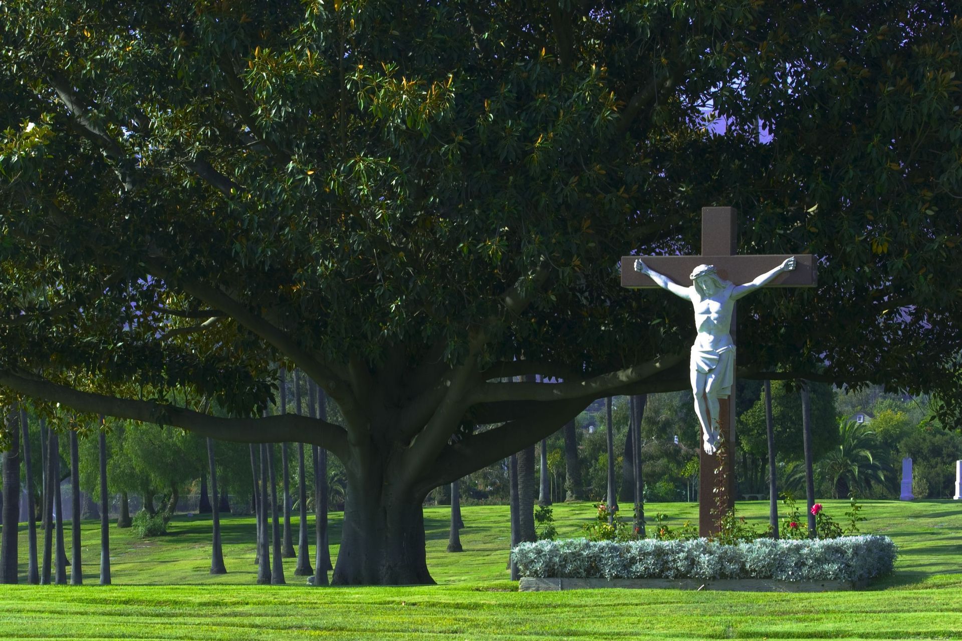 Calvary Cemetery | Santa Barbara
