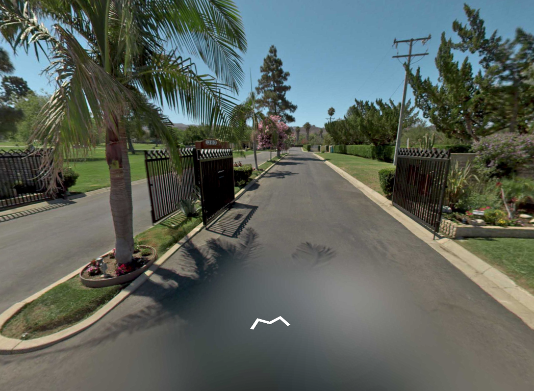 Residential driveway entrance with palm trees, open wrought-iron gates, and a paved road under clear daylight