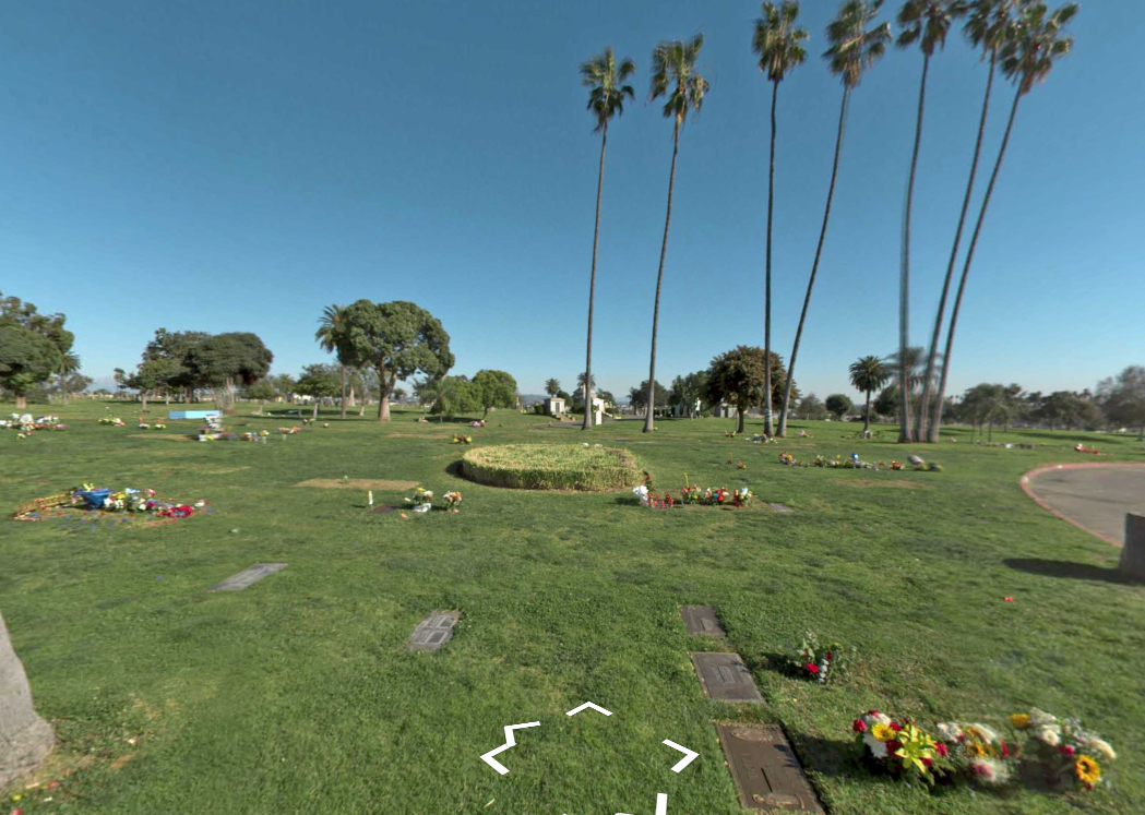 Wide grassy cemetery with scattered flowers and tall palm trees under a clear blue sky