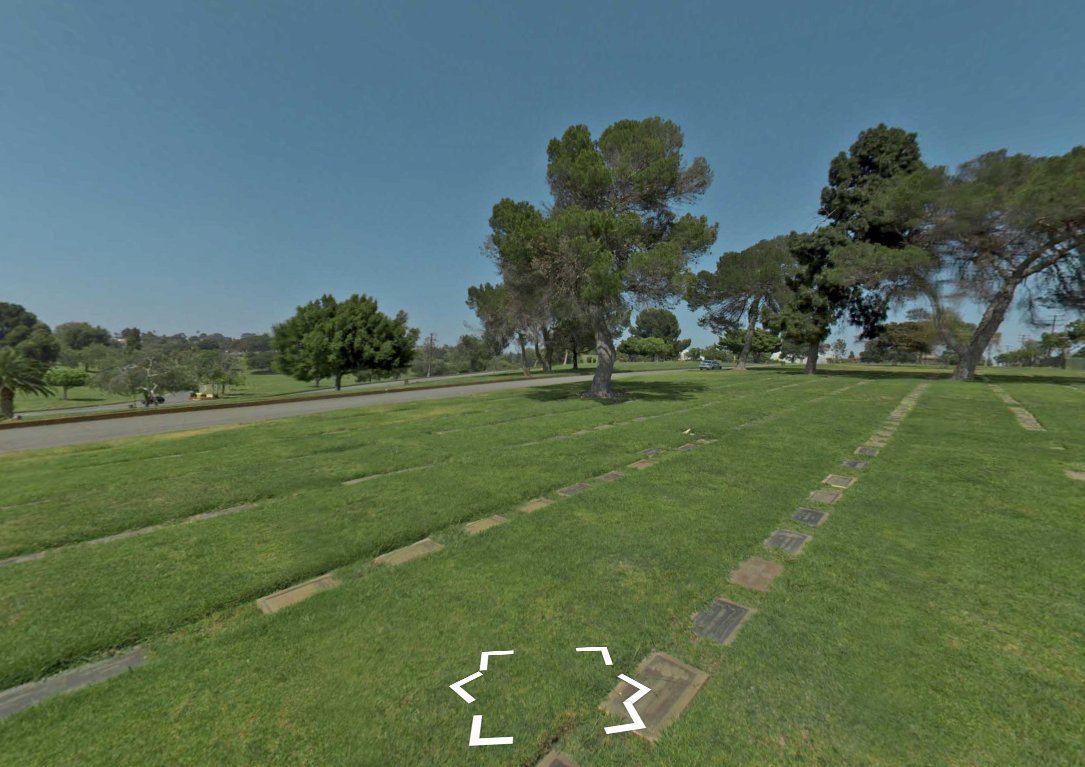 Wide green park lawn with scattered trees and a paved path under a clear blue sky