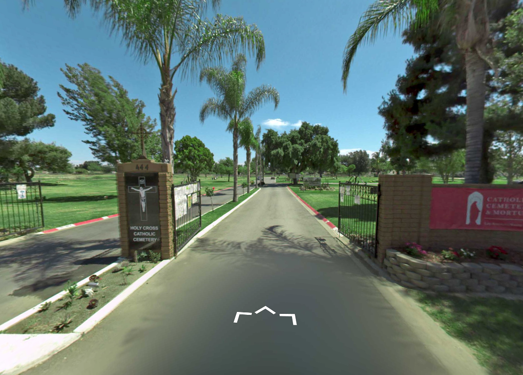 Gated entrance road lined with palm trees and green lawns on a sunny day